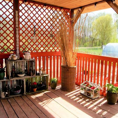 Losiowate Gospodarstwo Agroturystyczne Rybaki  Buitenkant foto