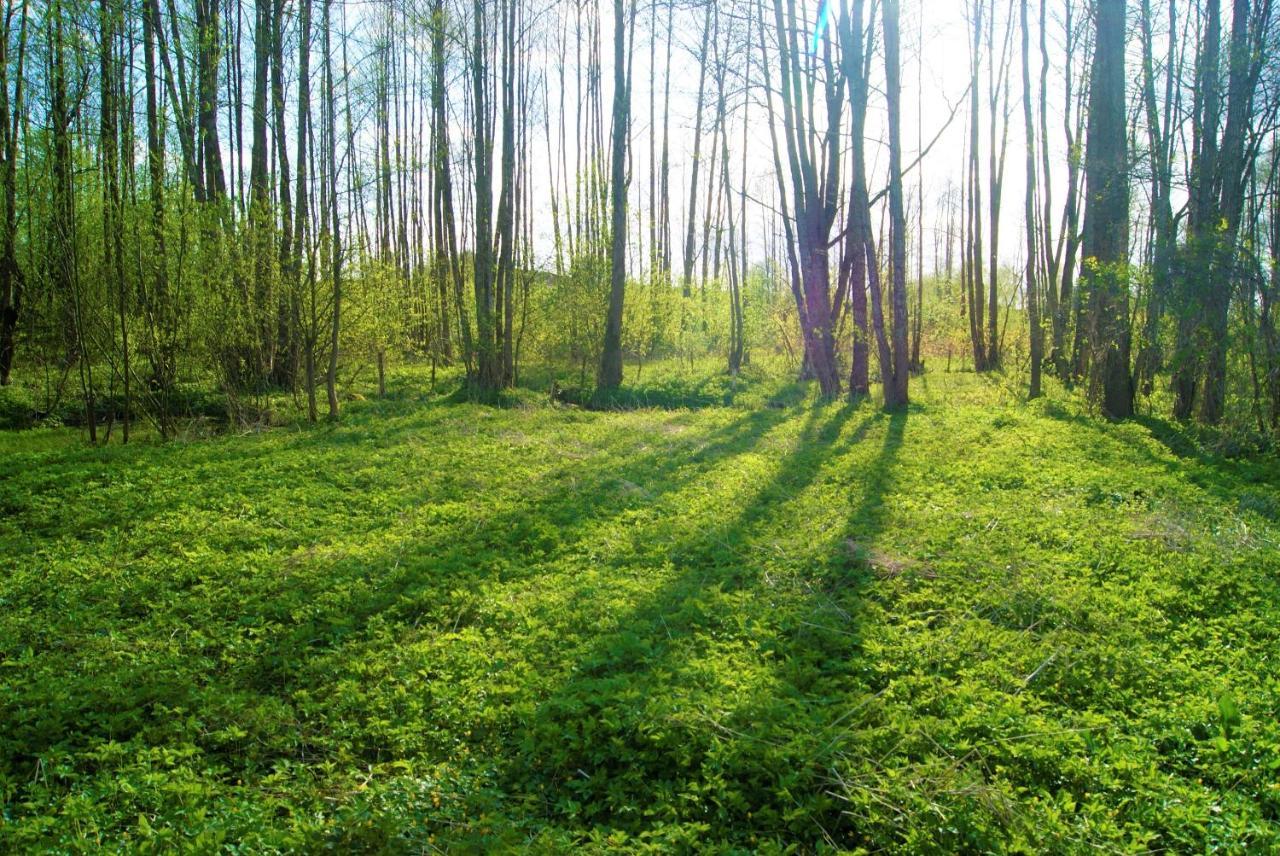 Losiowate Gospodarstwo Agroturystyczne Rybaki  Buitenkant foto
