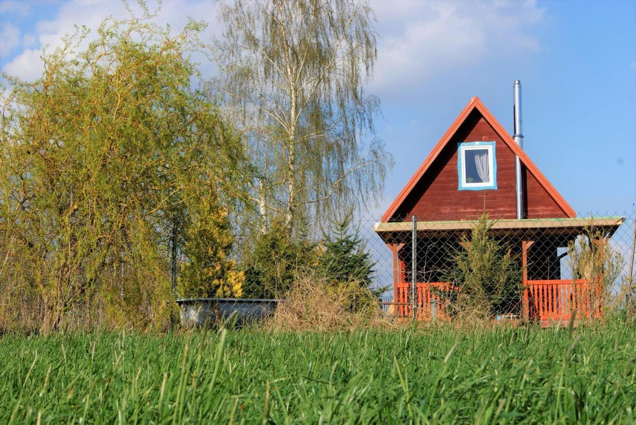 Losiowate Gospodarstwo Agroturystyczne Rybaki  Buitenkant foto