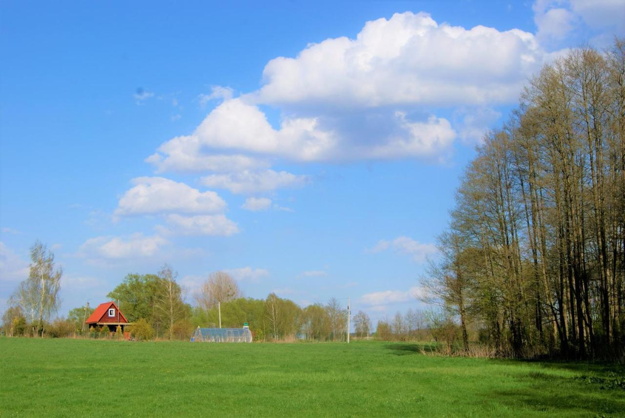 Losiowate Gospodarstwo Agroturystyczne Rybaki  Buitenkant foto