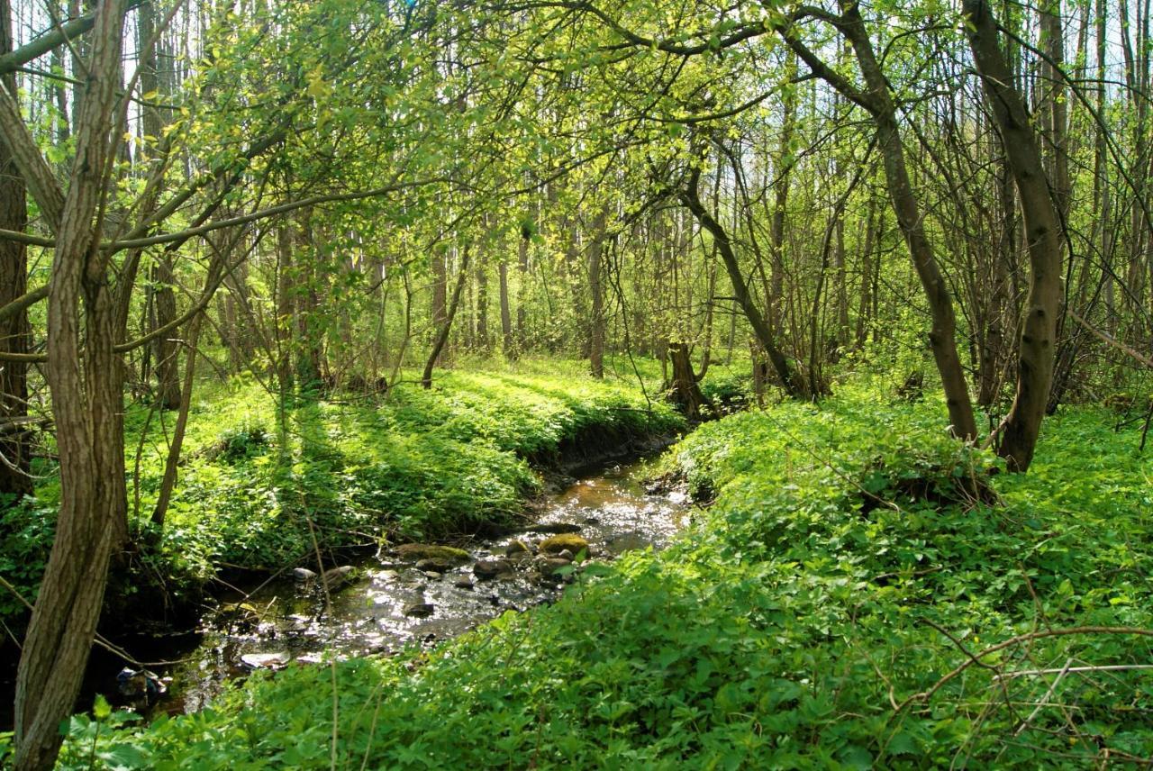 Losiowate Gospodarstwo Agroturystyczne Rybaki  Buitenkant foto