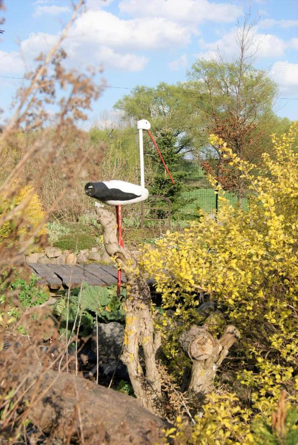 Losiowate Gospodarstwo Agroturystyczne Rybaki  Buitenkant foto