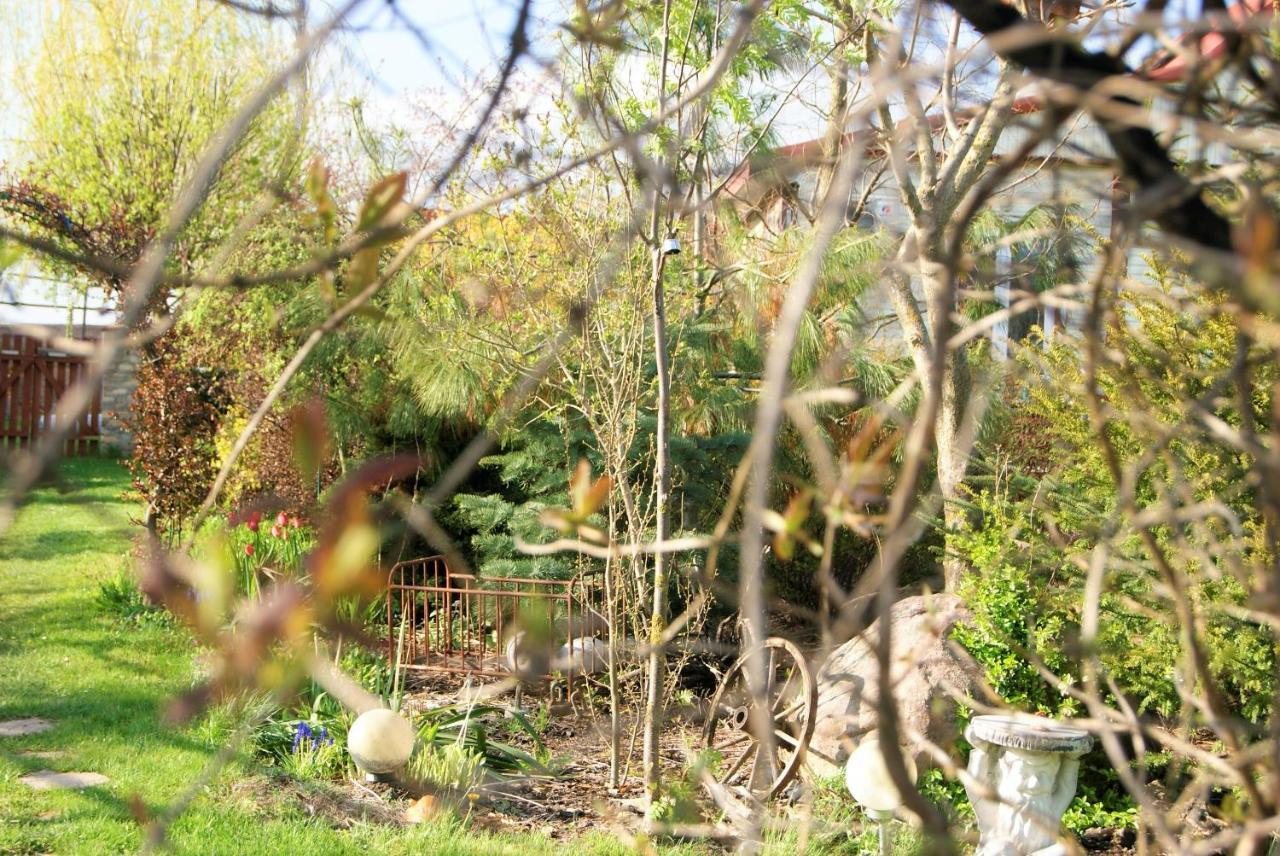 Losiowate Gospodarstwo Agroturystyczne Rybaki  Buitenkant foto